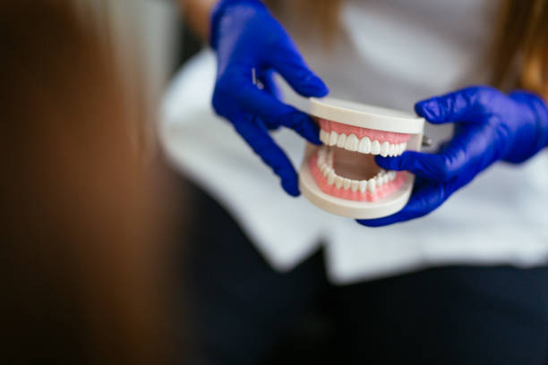 Best Periodontal (Gum) Disease Treatment  in Springfield, MA
